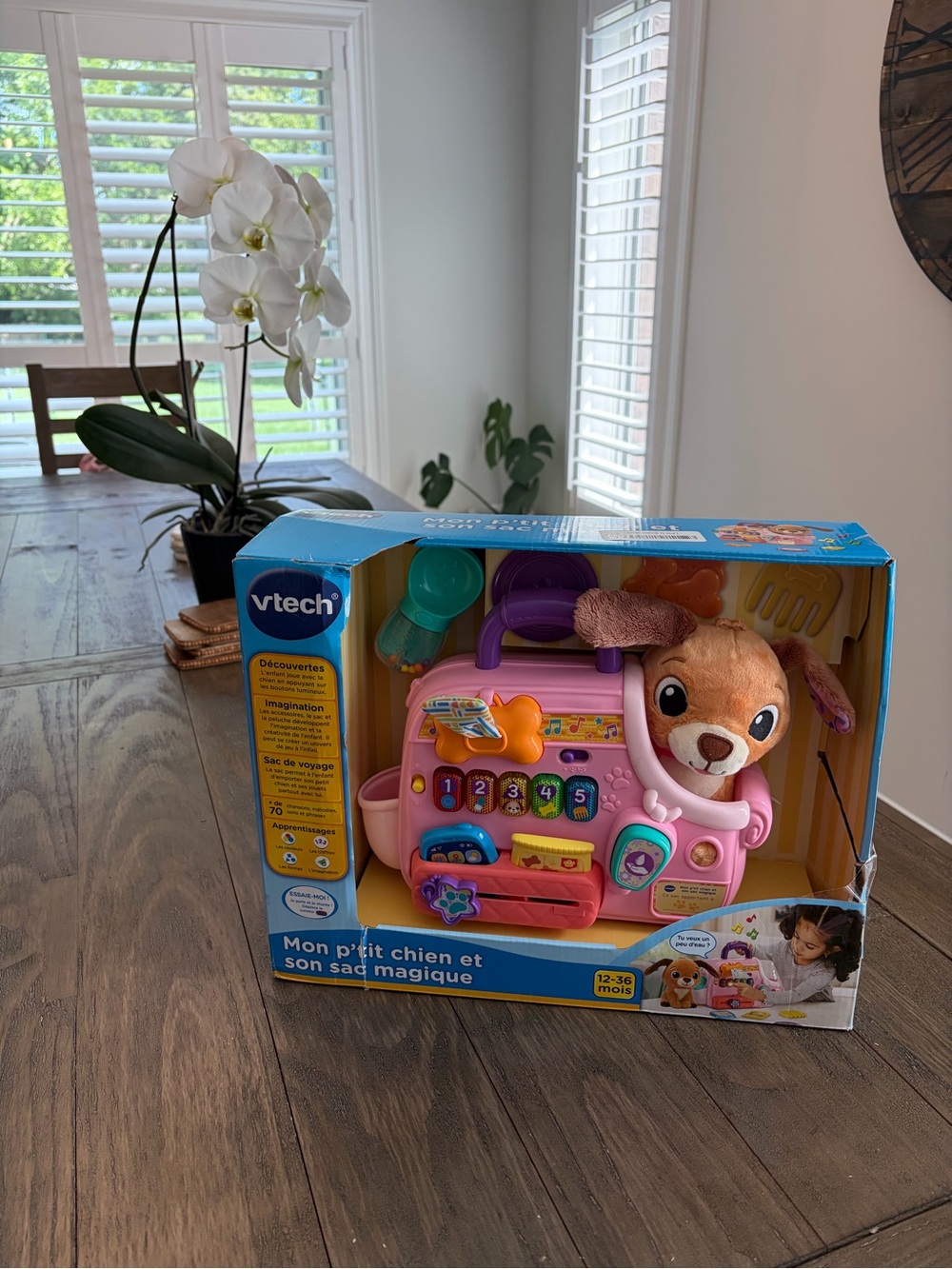 VTech Pink Puppy Travel Playset - Interactive Plush Toy